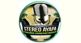 Stereo Ayapa en vivo